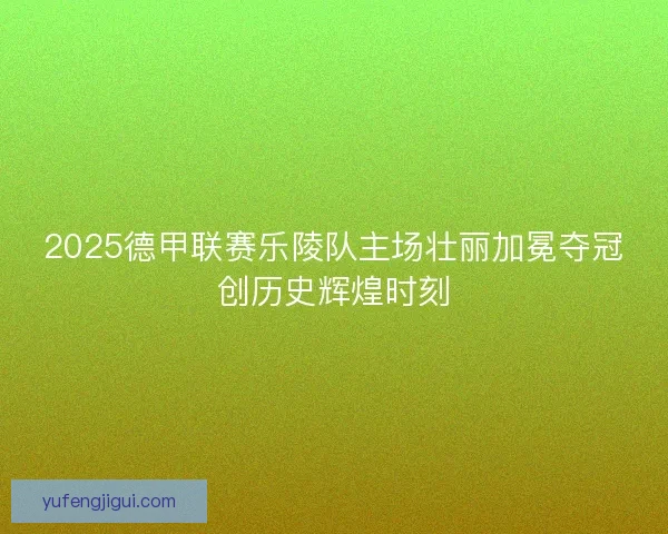 2025德甲联赛乐陵队主场壮丽加冕夺冠创历史辉煌时刻