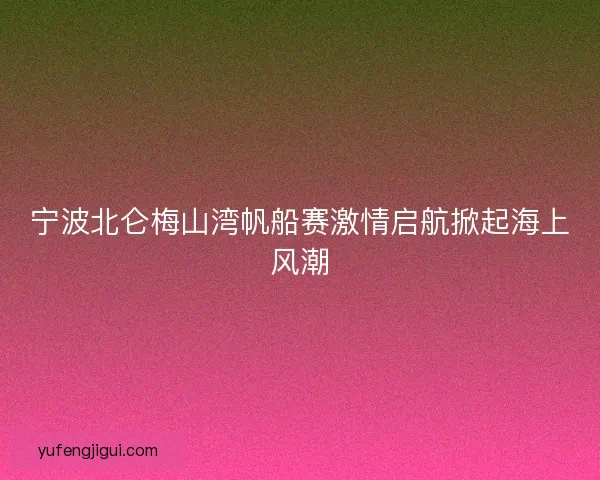 宁波北仑梅山湾帆船赛激情启航掀起海上风潮